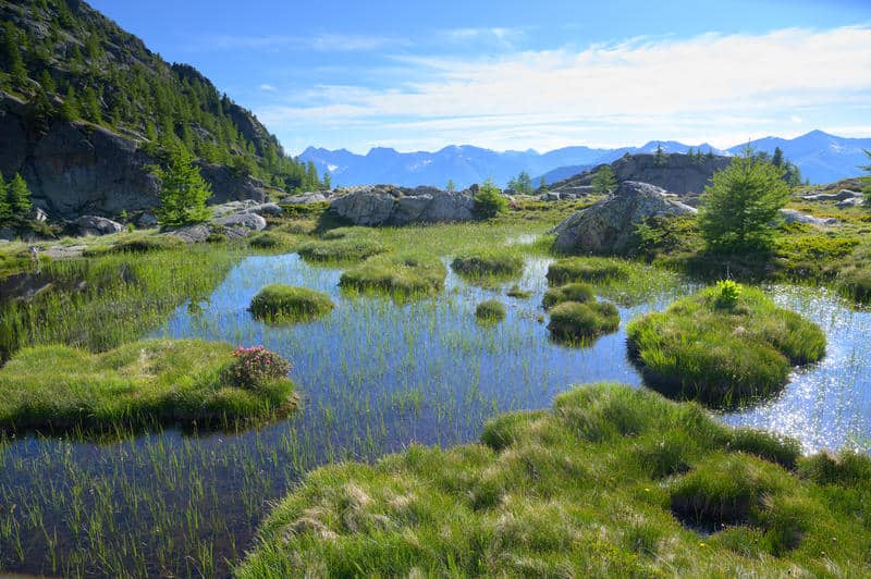 Lac de Vens, Saint-Etienne-de-Tinée, Mercantour (06)